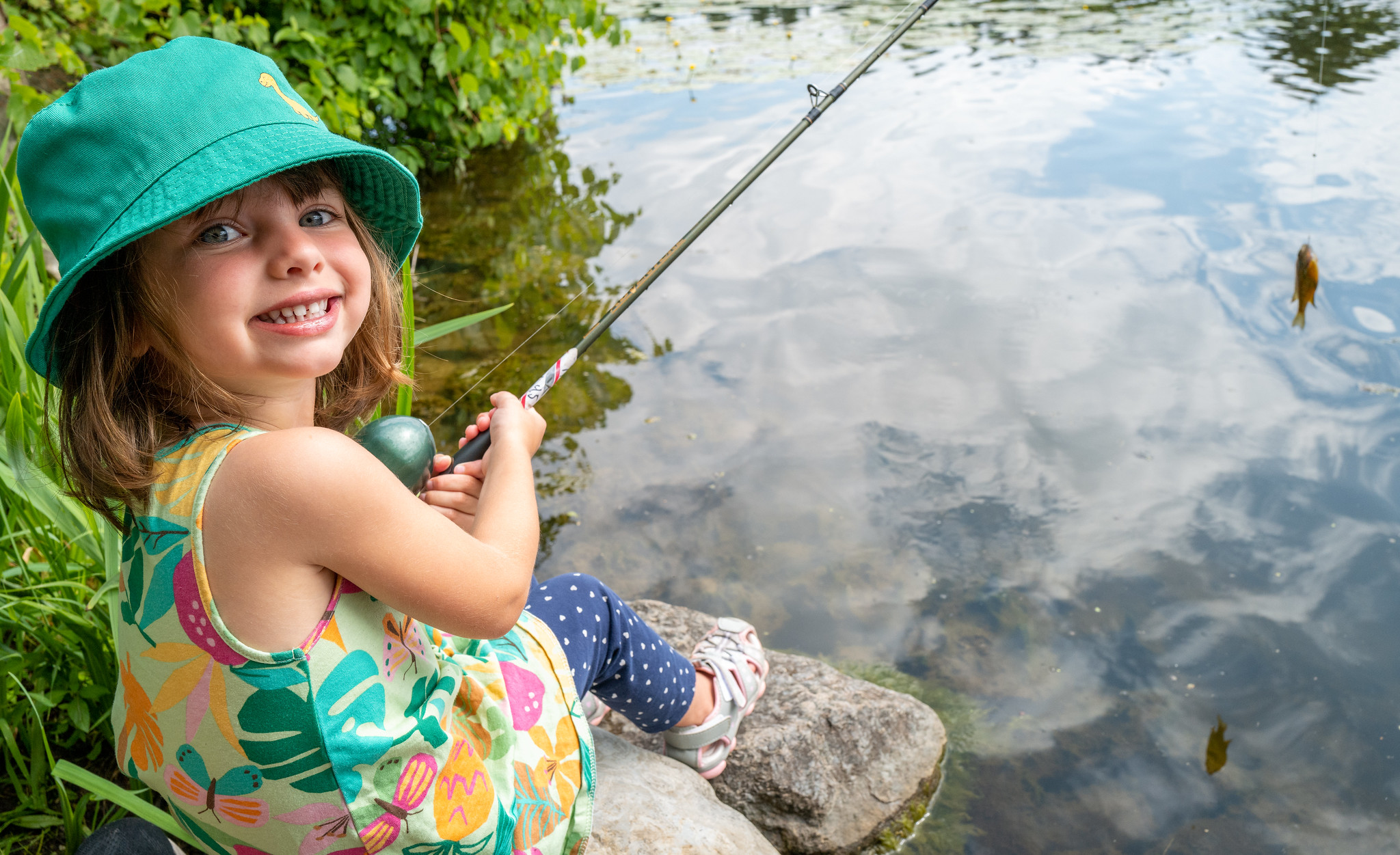 RRCA Hosting 22nd Annual Family Fishing Day at Gray's Creek Conservation  Area