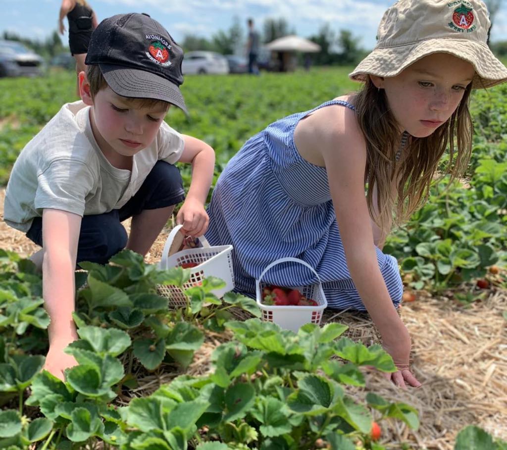 BERRY GOOD JOB Avonmore farm feted by The Food Network SDG Counties