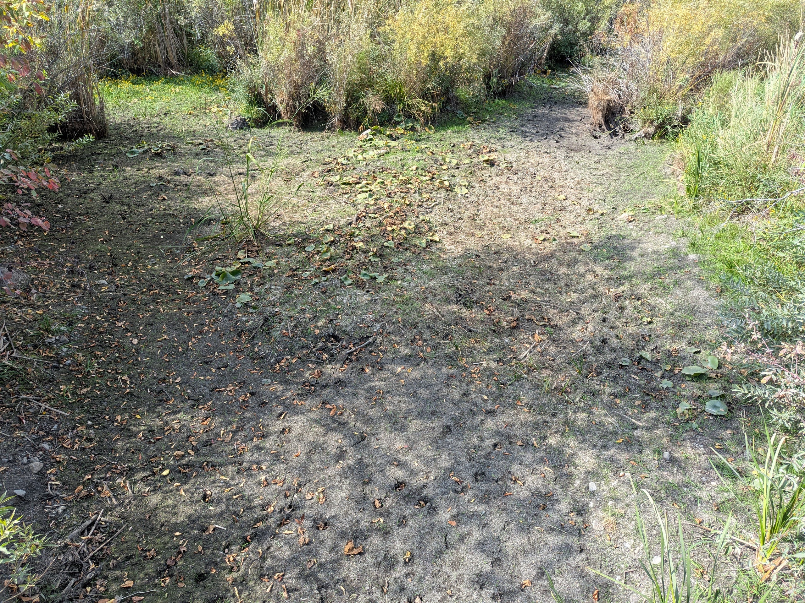Level 3 Low Water status declared for Raisin Region | SDG Counties