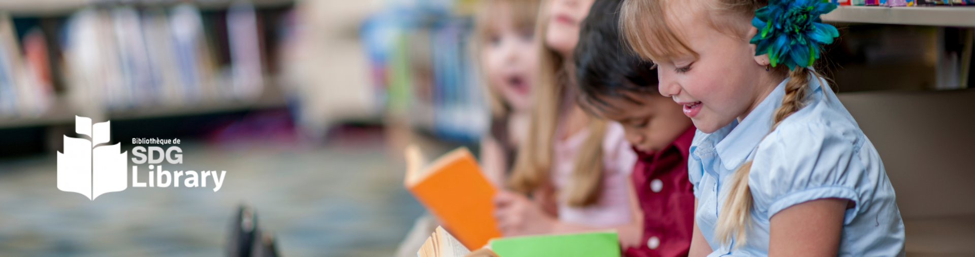 Library Services | SDG Counties
