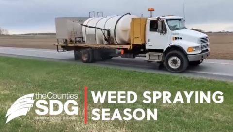 Weed spraying in SDG begins May 17.