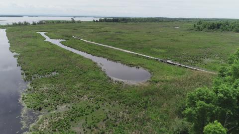 An aerial view of Cooper Marsh.