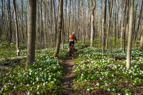 A cyclist navigates Summerstown Trails.