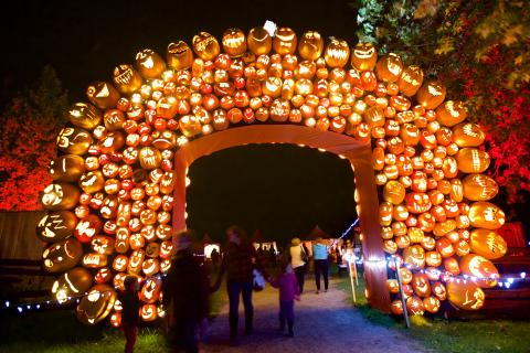 An array of pumpkins at Pumpkinferno.