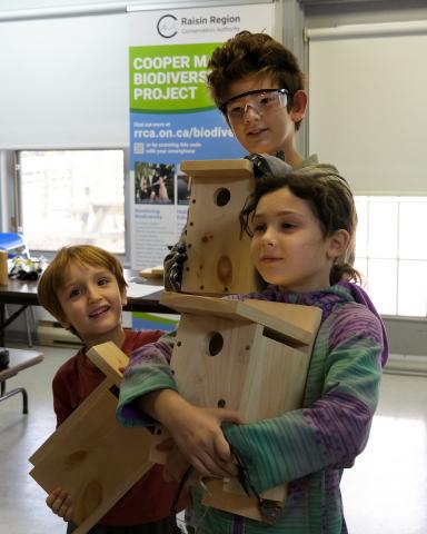 A hammering and drilling cacophony recently surrounded the quiet collection of taxidermy specimens roosting at the Raisin Region Conservation Authority’s (RRCA) Cooper Marsh Visitors Centre in South Glengarry, as nineteen eager carpenters of all ages busily built boxes to hopefully host nesting pairs of tree swallows and their young at various RRCA conservation sites. 