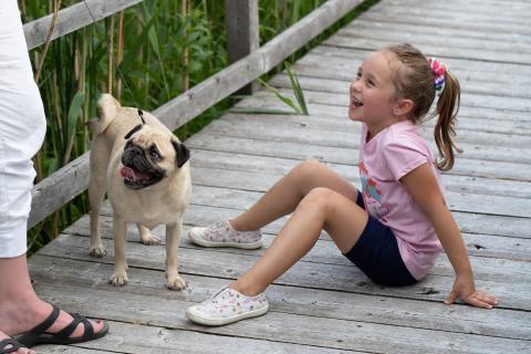 A child and a smal dog on the boardwalk at Cooper Marsh.