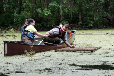 RRCA summer student, Benjamin Pilon, assists RRCA Stewardship Coordinator, Jessica Herrington, with the installation of a turtle basking platform at Cooper Marsh Conservation Area in South Glengarry. 