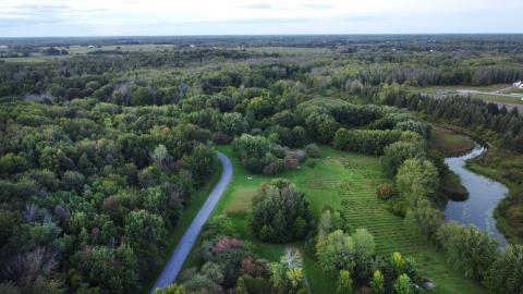 Gray's Creek Conservation Area in South Glengarry is home to wide variety of native tree and shrub species.