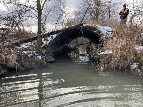 The Raisin Region Conservation Authority (RRCA) is inviting landowners with property adjacent to the Eastman Drain in South Stormont and Cornwall to attend a virtual public information centre (PIC) to learn about updated and improved regulatory mapping (flood hazard) for the watercourse. The PIC will take place online on April 10, 2024, from 5 p.m. to 6 p.m.