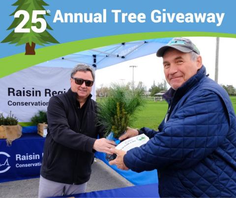 tree giveaway