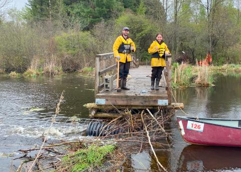 beaver baffles installed at charlottenburgh park