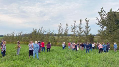 Participants at an RRCA farm stewardship tour visit a recently established, multi-layered windbreak.