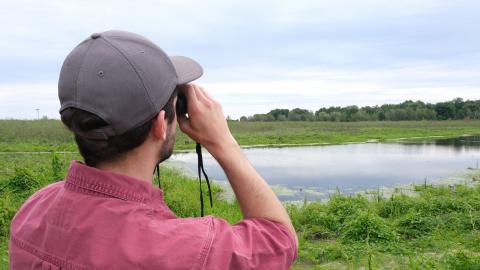 RRCA staff offer free guided walks every weekend from June to August.