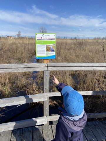 A new self-guided tour at Cooper Marsh Conservation Area features 16 trailside interpretive signs.