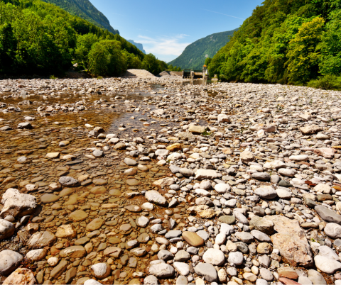river bed