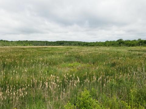 conservation area
