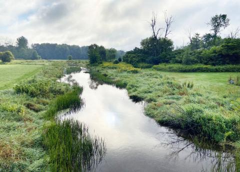 The Beaudette River flowing by Glen Roy in South Glengarry on August 11, 2026.