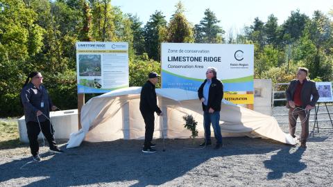 limestone