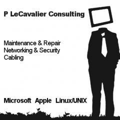 P. LeCavalier Consulting