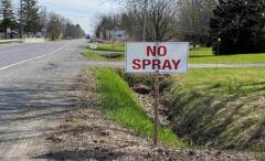 No spray signage