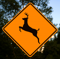 Deer sign